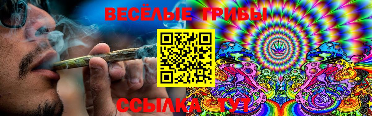 Владикавказ  Галлюциногенные грибы Magic Shrooms  Псилоцибиновые грибы мухоморы  Вход с VPN 